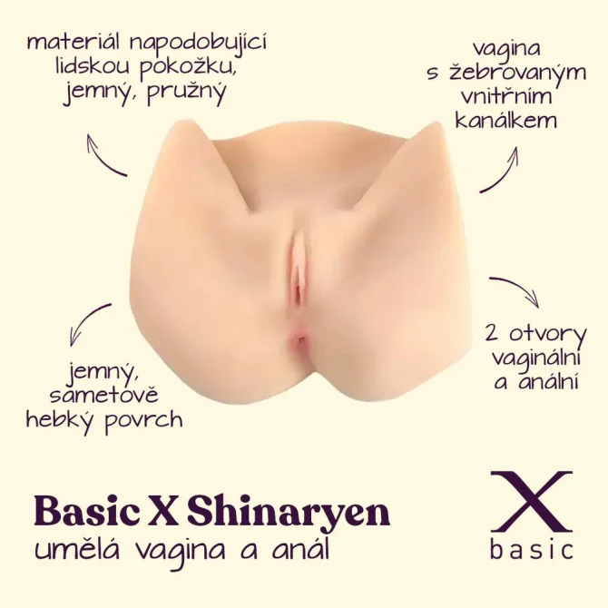BASIC X Shinaryen - umělá vagína a anál