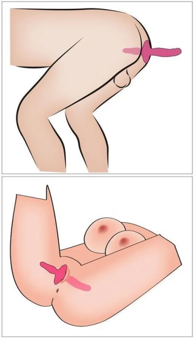 Gender X Dual Defender 2in1 vibrátor a anální kolík