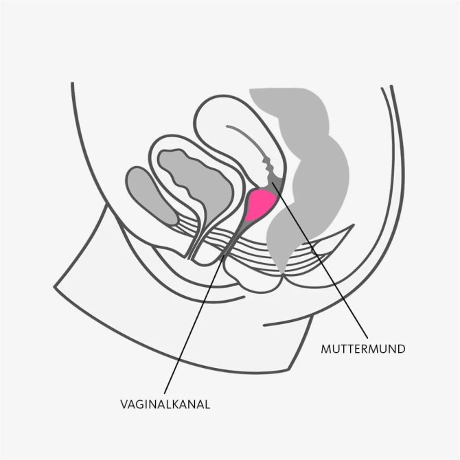 Fun Factory Fun cup menstruační kalíšek velikost B Magenta