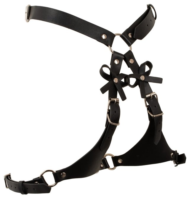 Bad Kitty Harness s pouty na ruce