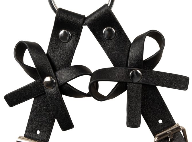 Bad Kitty Harness s pouty na ruce