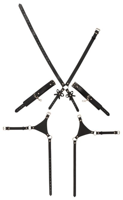 Bad Kitty Harness s pouty na ruce
