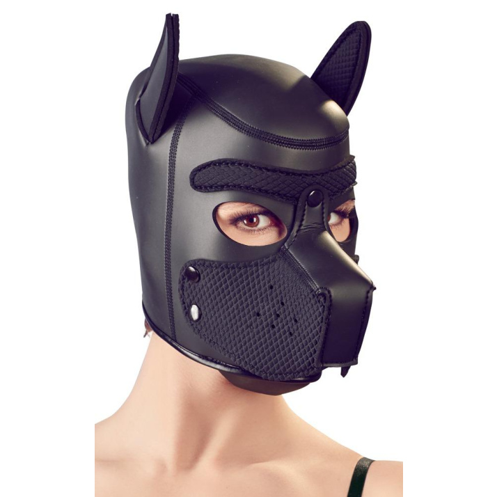 Bad Kitty maska psa